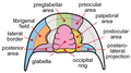 Thumbnail for version as of 19:45, 25 November 2006
