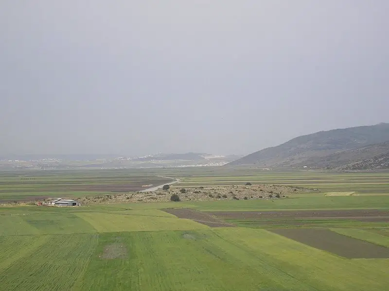 File:Almog IL2 Movil.jpg