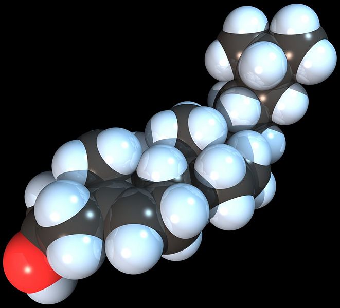 File:Cholesterol Spacefill.jpeg