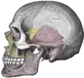 Thumbnail for version as of 01:11, 11 February 2007