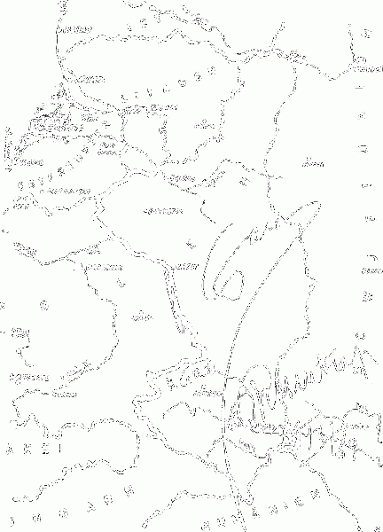 File:Mapa 2 paktu Ribbentrop-Mołotow.gif