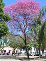 Thumbnail for version as of 16:45, 17 July 2008