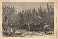 Thumbnail for version as of 21:41, 13 December 2007