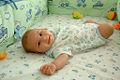 Thumbnail for version as of 20:22, 22 January 2006