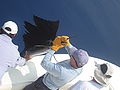 Thumbnail for version as of 20:28, 9 December 2008