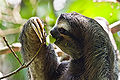 Thumbnail for version as of 00:45, 16 October 2008