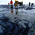 Thumbnail for version as of 21:52, 7 December 2007