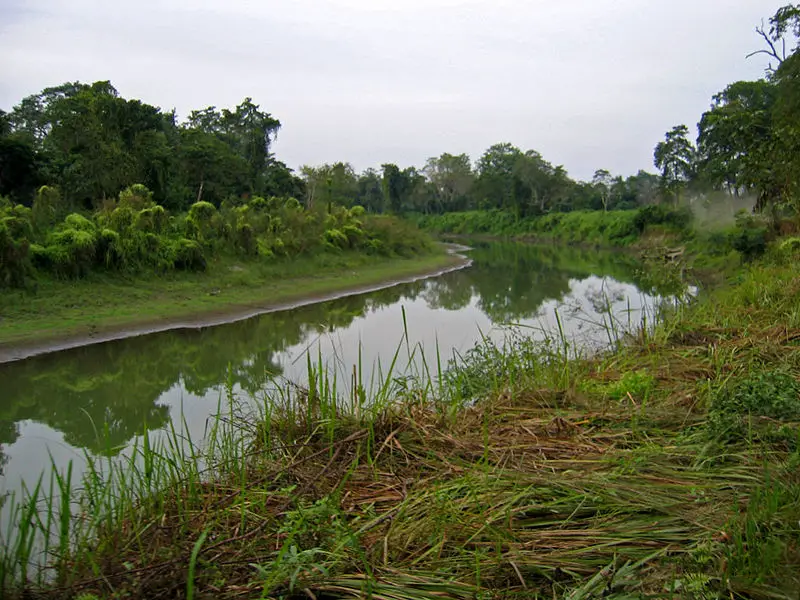 File:Assam 028 yfb edit.jpg