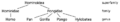 Thumbnail for version as of 14:55, 30 June 2006