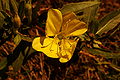 Thumbnail for version as of 21:22, 15 April 2008