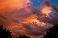Thumbnail for version as of 01:23, 24 August 2007