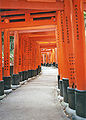 Thumbnail for version as of 18:19, 14 June 2007