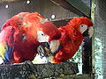 Thumbnail for version as of 19:07, 6 November 2008