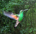Thumbnail for version as of 06:25, 11 November 2008