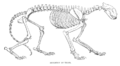 Thumbnail for version as of 17:04, 20 July 2007
