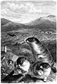 Thumbnail for version as of 20:21, 10 May 2008