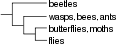 Thumbnail for version as of 17:37, 24 December 2007