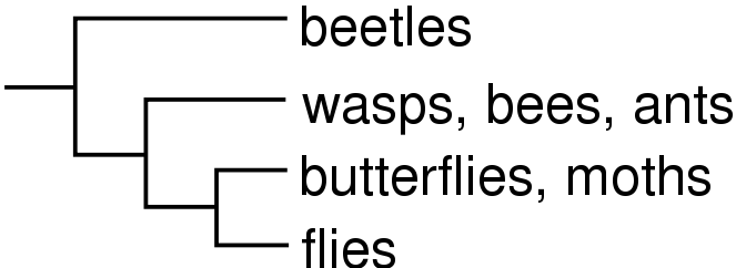File:Cladogram-example1.svg