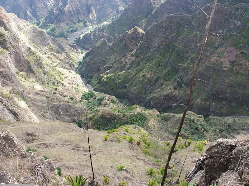 File:Santo-antao agaves.jpg