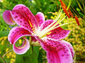 Thumbnail for version as of 10:52, 2 May 2006