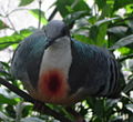 Thumbnail for version as of 14:37, 8 July 2006
