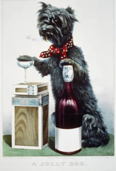 File:A jolly dog.png