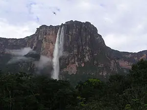 Angel Falls New World Encyclopedia It is the highest waterfall in the world (979 meters here you can see an interactive open street map which shows the exact location of angel falls. angel falls new world encyclopedia