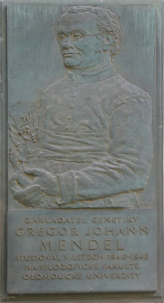 File:Gregor-Johann-Mendel-memorial-plaque.jpg