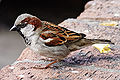 Thumbnail for version as of 00:03, 15 October 2007