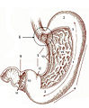 Thumbnail for version as of 01:47, 15 July 2007