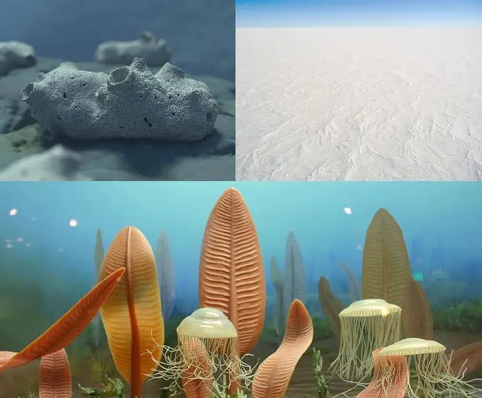 Neoproterozoic - New World Encyclopedia