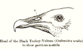 Thumbnail for version as of 17:46, 6 December 2007