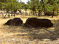 Thumbnail for version as of 20:33, 9 April 2007
