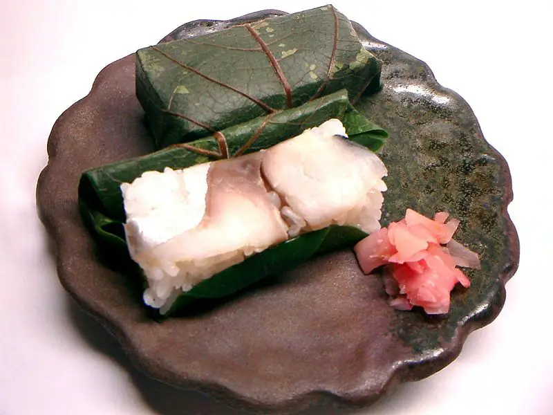 File:Kakinohazusi.jpg