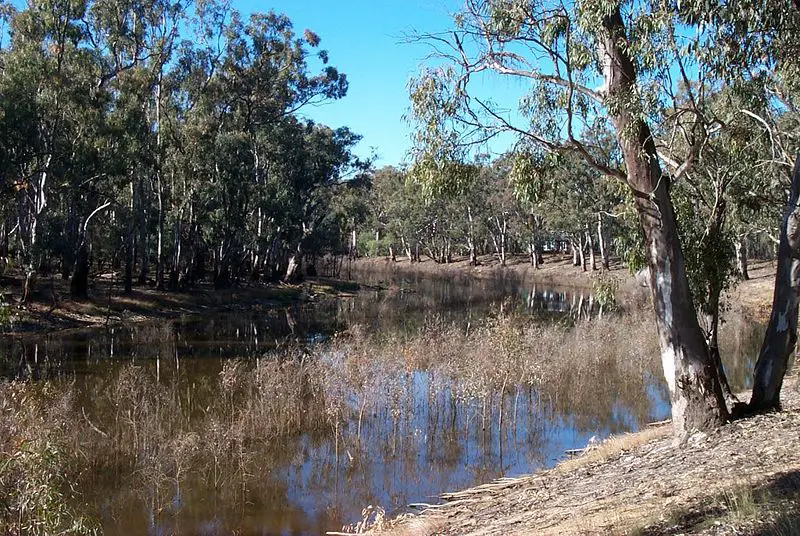 File:Murray river red.jpg