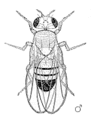 Thumbnail for version as of 13:38, 6 October 2006