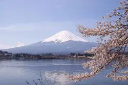 Mount Fuji New World Encyclopedia