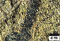 Thumbnail for version as of 18:33, 22 May 2007