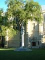 Princeton University square2.jpg