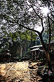 Thumbnail for version as of 17:49, 26 January 2009