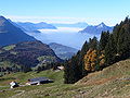 Thumbnail for version as of 05:04, 29 November 2007