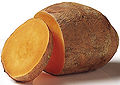 Thumbnail for version as of 16:08, 17 July 2006