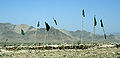 Thumbnail for version as of 15:51, 10 August 2007