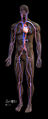 Thumbnail for version as of 14:16, 30 October 2005