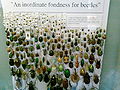 Thumbnail for version as of 02:13, 12 June 2007