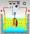 Thumbnail for version as of 00:52, 25 January 2007