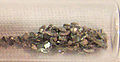 Thumbnail for version as of 00:12, 20 November 2006
