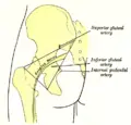 Thumbnail for version as of 23:59, 27 May 2007