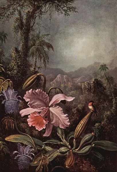 File:Martin Johnson Heade 001.jpg