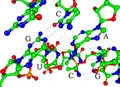 Thumbnail for version as of 00:39, 8 December 2007